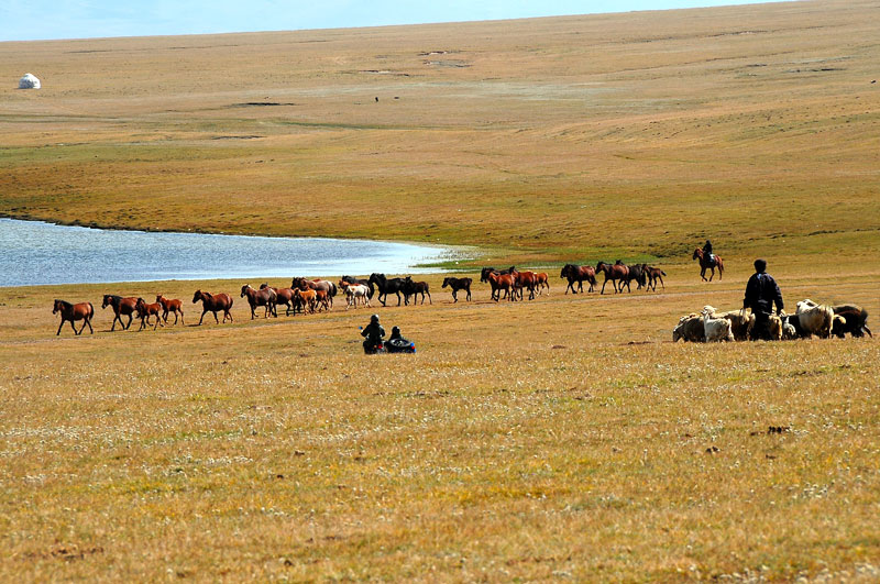 Kyrgyzstan - Asie Centrale